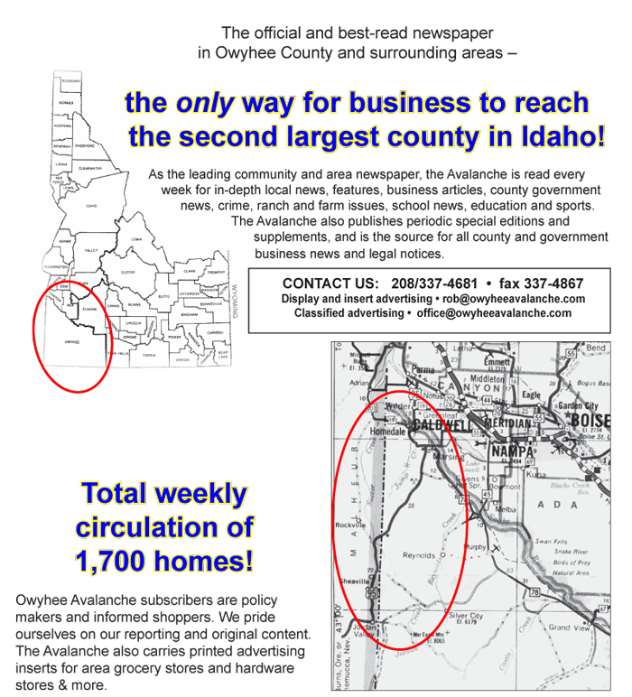 image-20240425135121-1