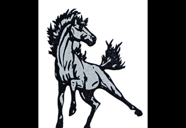 Jordan Valley logo